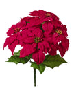 Bouquet d'étoile de Noël