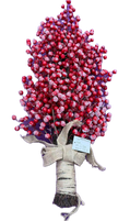 Bouquet de baies