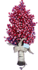 Bouquet de baies