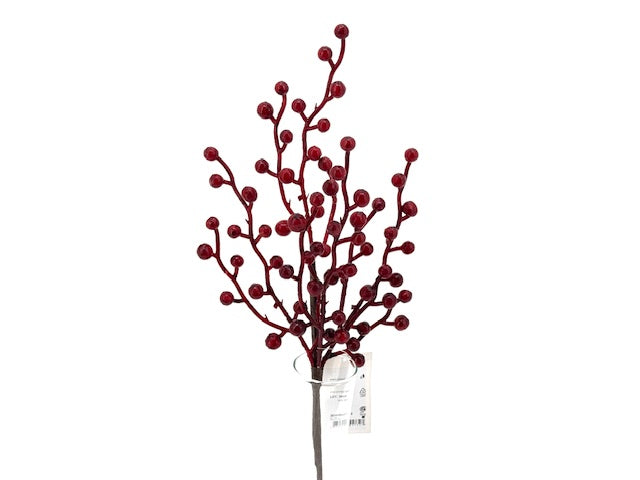 Branche berry rouge