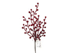 Branche berry rouge