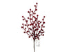 Branche berry rouge