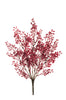Branche de baies