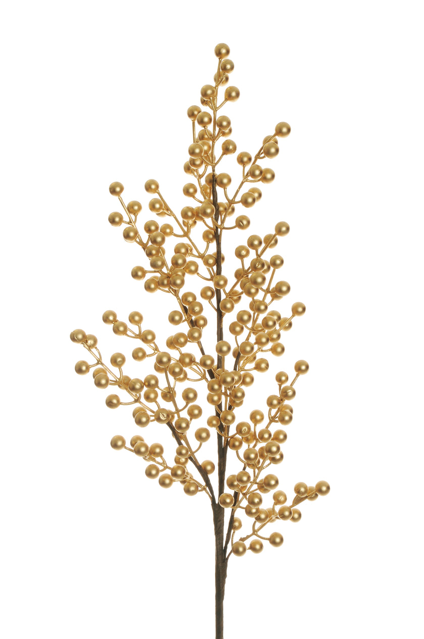 Branche de baies