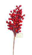 Branche de baies