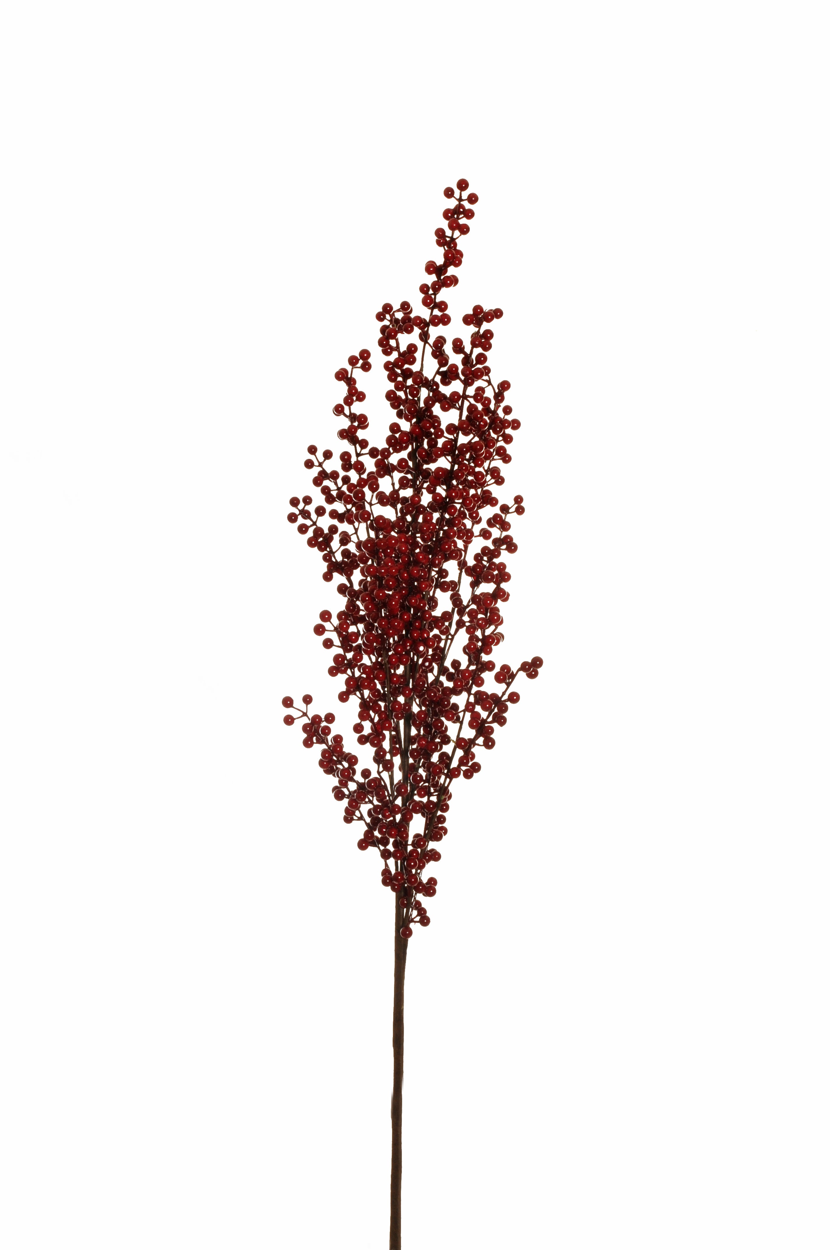 Branche de baies rouge