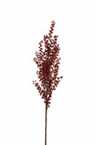 Branche de baies rouge