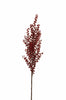 Branche de baies rouge