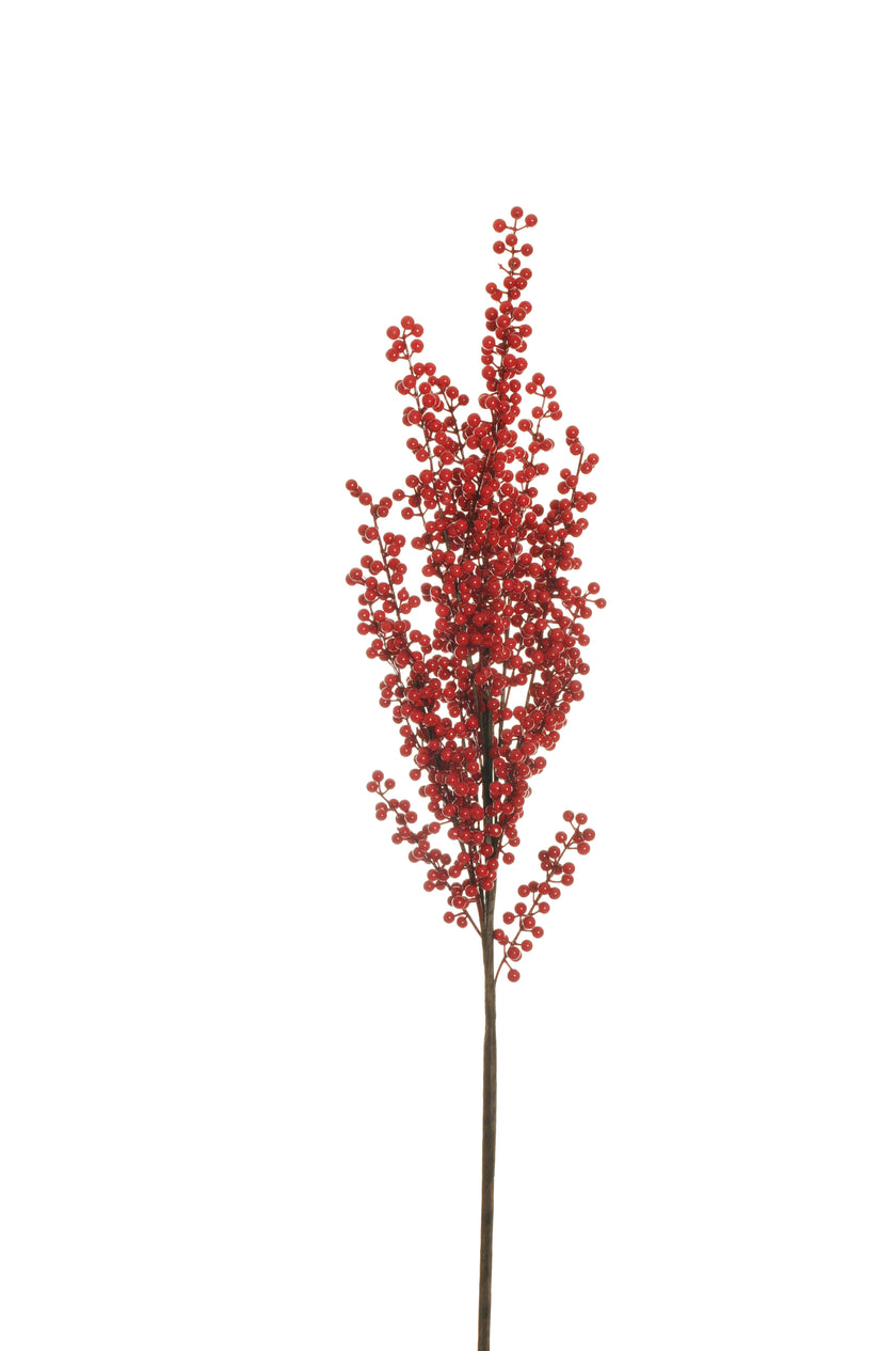 Branche de baies rouge