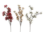 Branche de berry et feuillage rouge