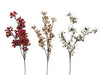 Branche de berry et feuillage rouge