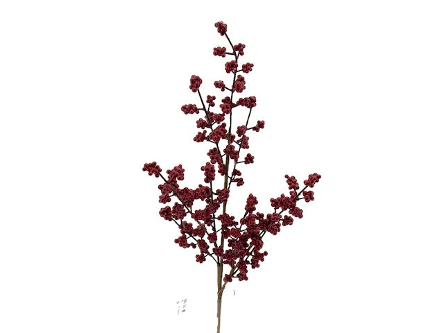 Branche de berry