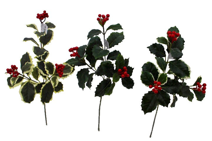Branche de berry feuillage