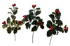 Branche de berry feuillage