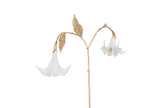 Branche de datura