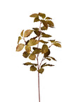 Branche de feuillage automne