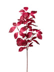 Branche de feuillage automne