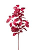 Branche de feuillage automne