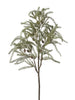Branche de feuillage avec pin vert