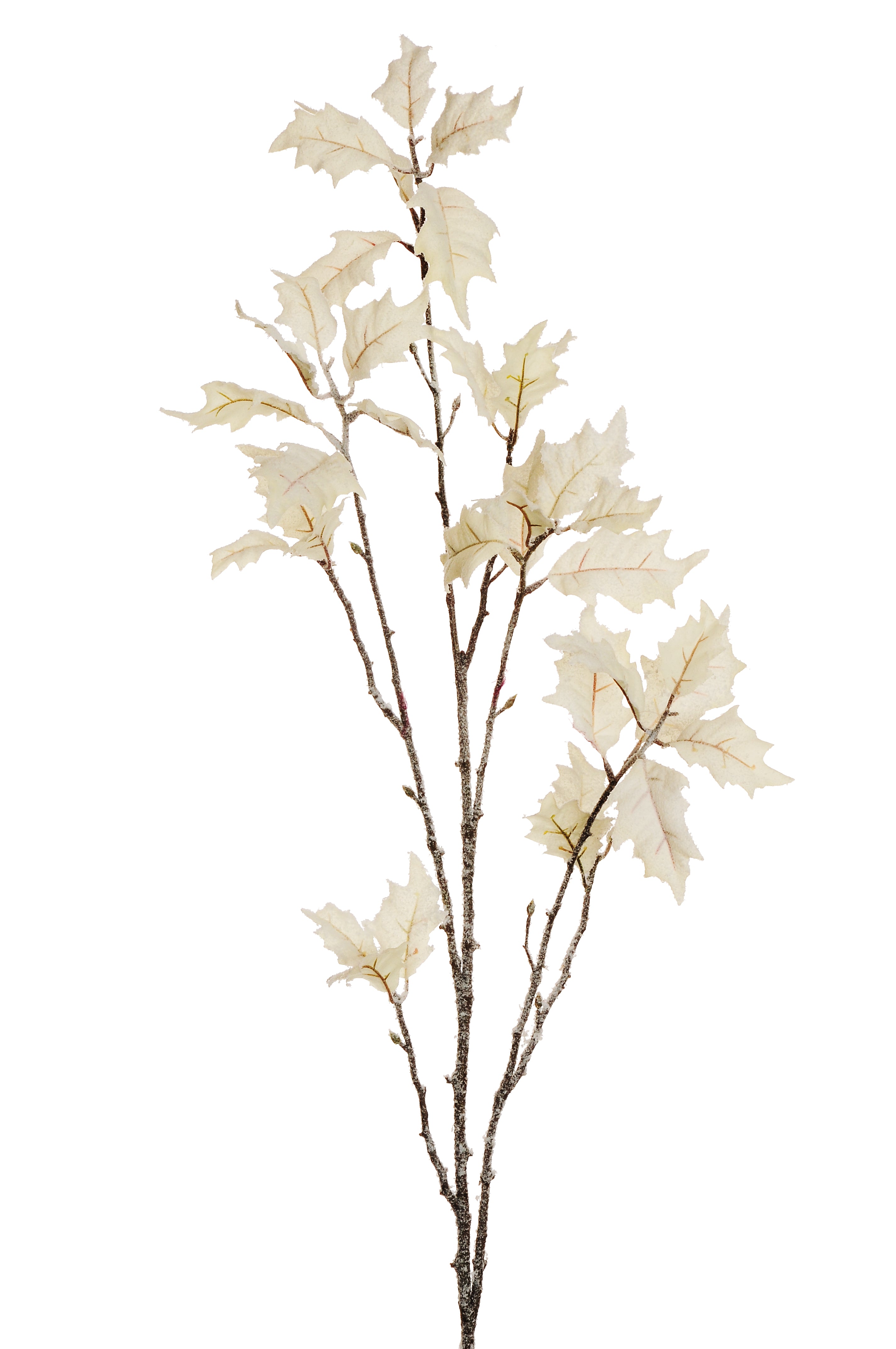 Branche de feuillage blanc