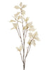 Branche de feuillage blanc