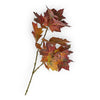 Branche de feuilles automne