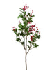 Branche de fruit rouge
