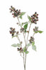 Branche de houx enneigé