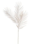 Branche de palmier