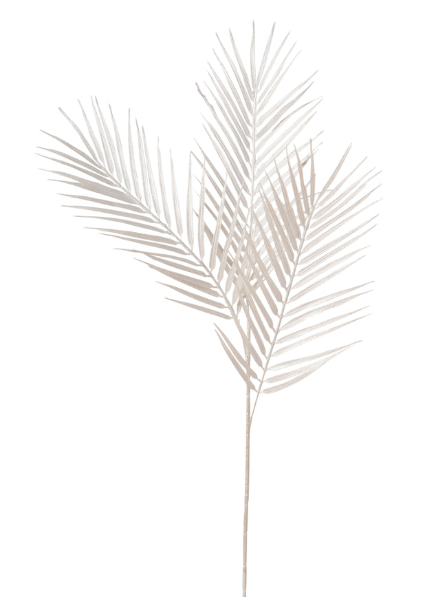 Branche de palmier