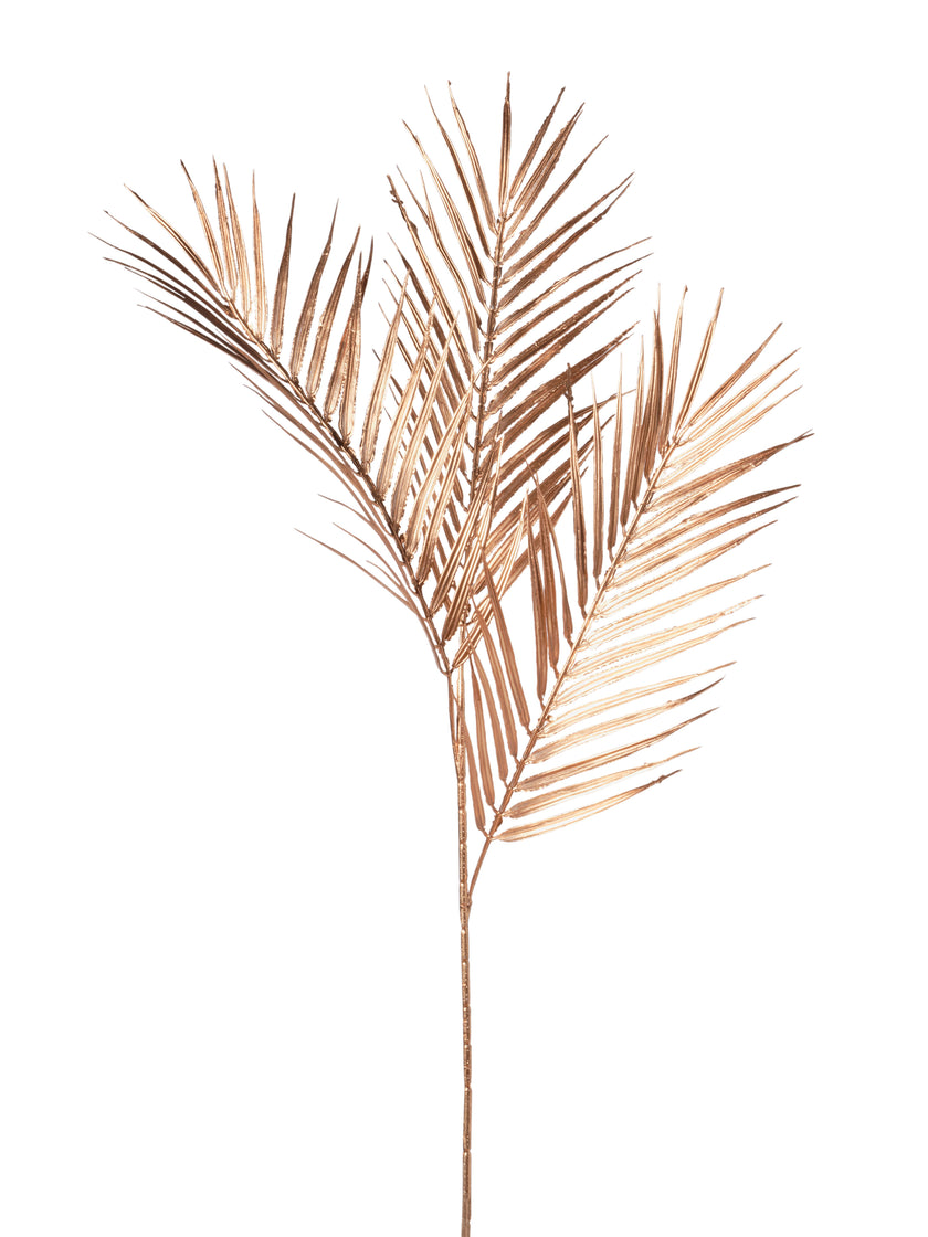 Branche de palmier