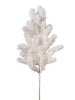 Branche de pin blanc