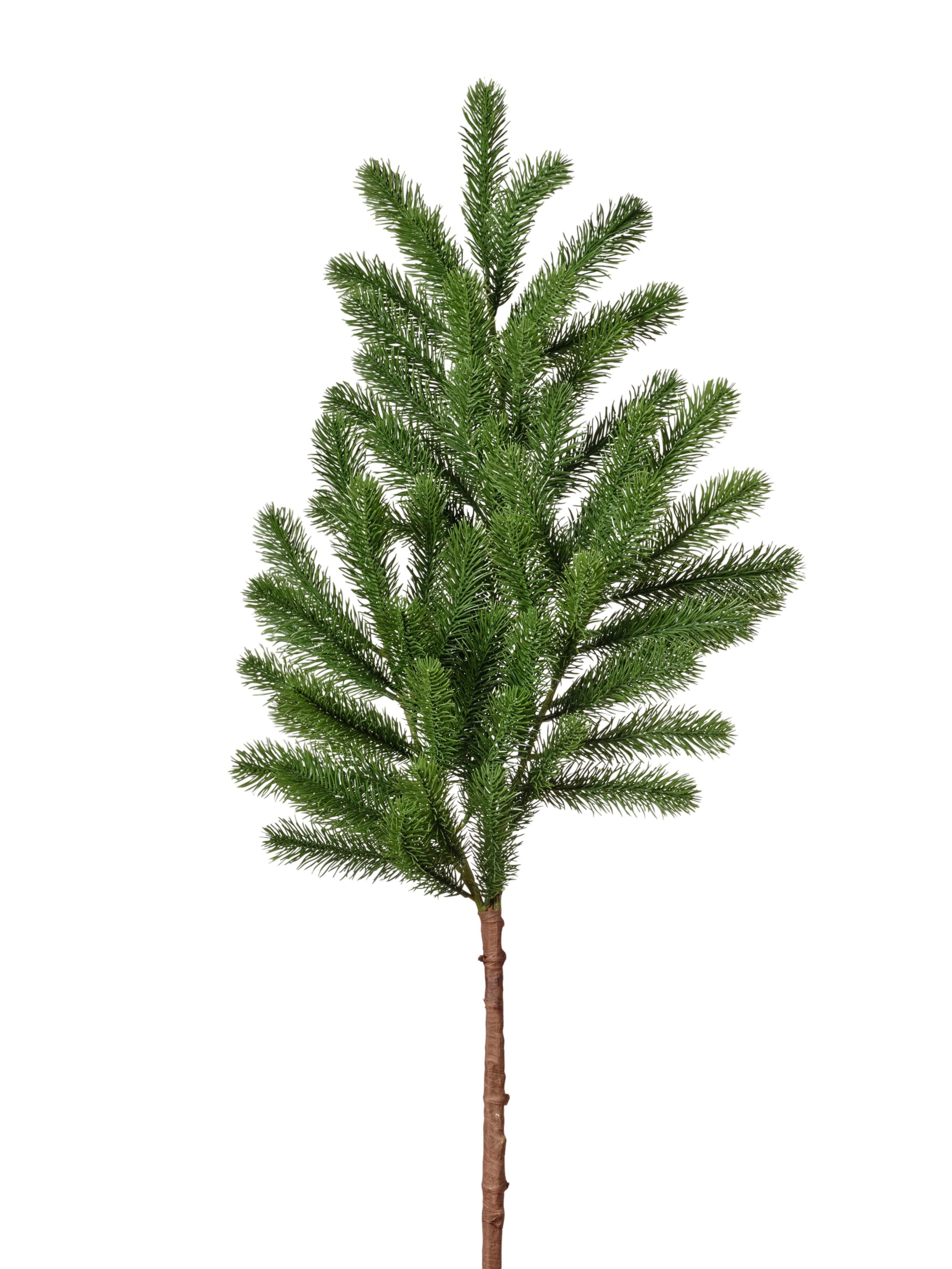 Branche de pin vert 093