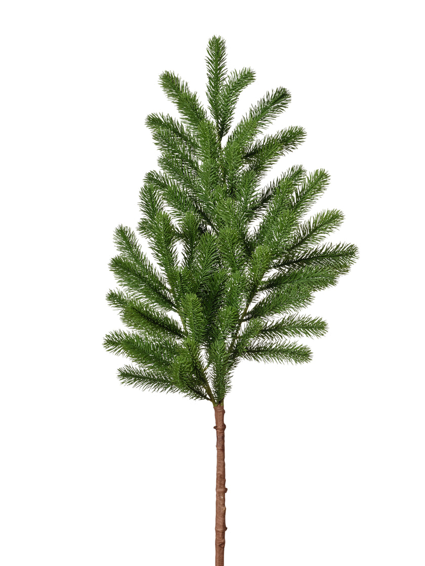 Branche de pin vert 093