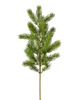 Branche de pin vert 093