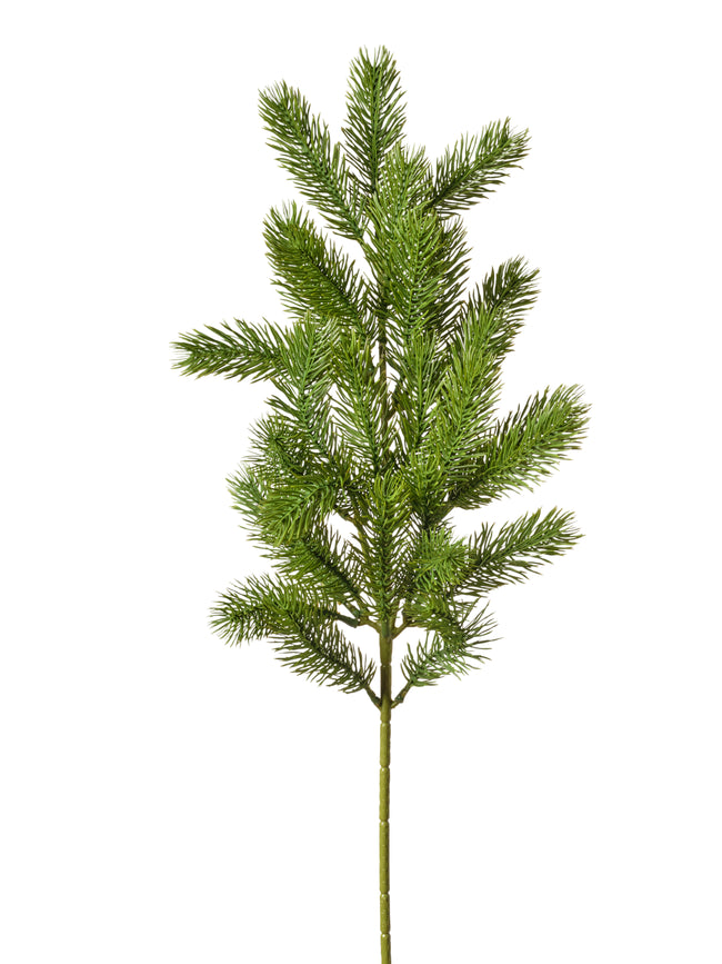 Branche de pin vert 093