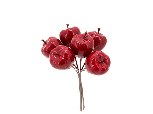 Branche de pomme rouge