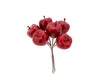 Branche de pomme rouge
