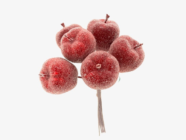 Branche de pomme rouge sucré