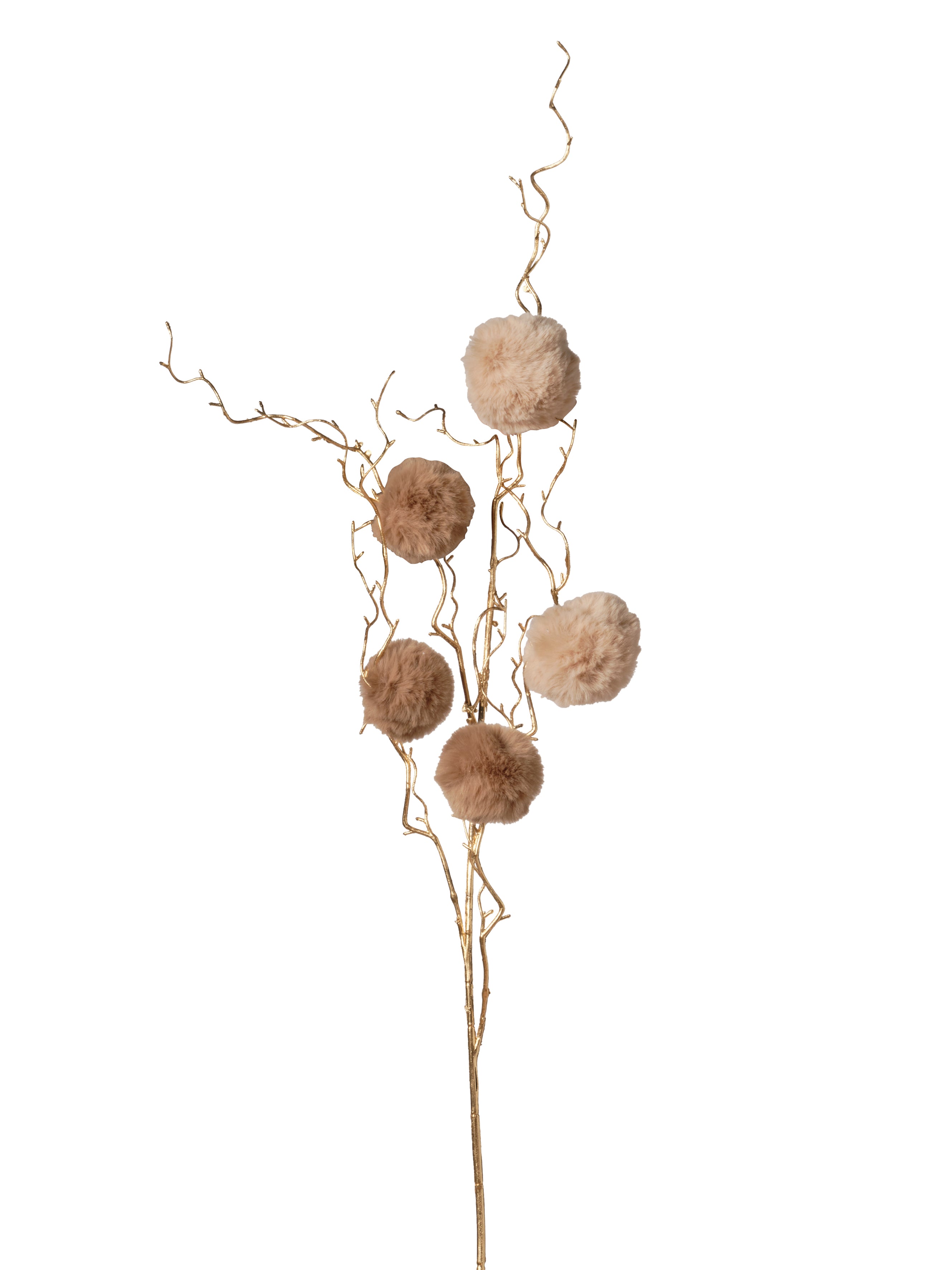 Branche de pompom Beige