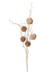 Branche de pompom Beige