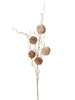 Branche de pompom Beige