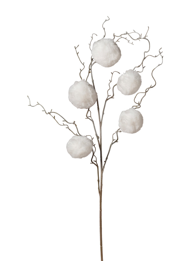Branche de pompom blanc