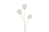 Branche de tulipe blanche nacré