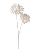 Branche de viorne