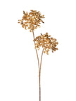 Branche de viorne