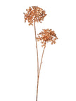 Branche de viorne