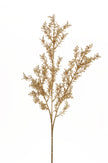 Branche feuillage dorée