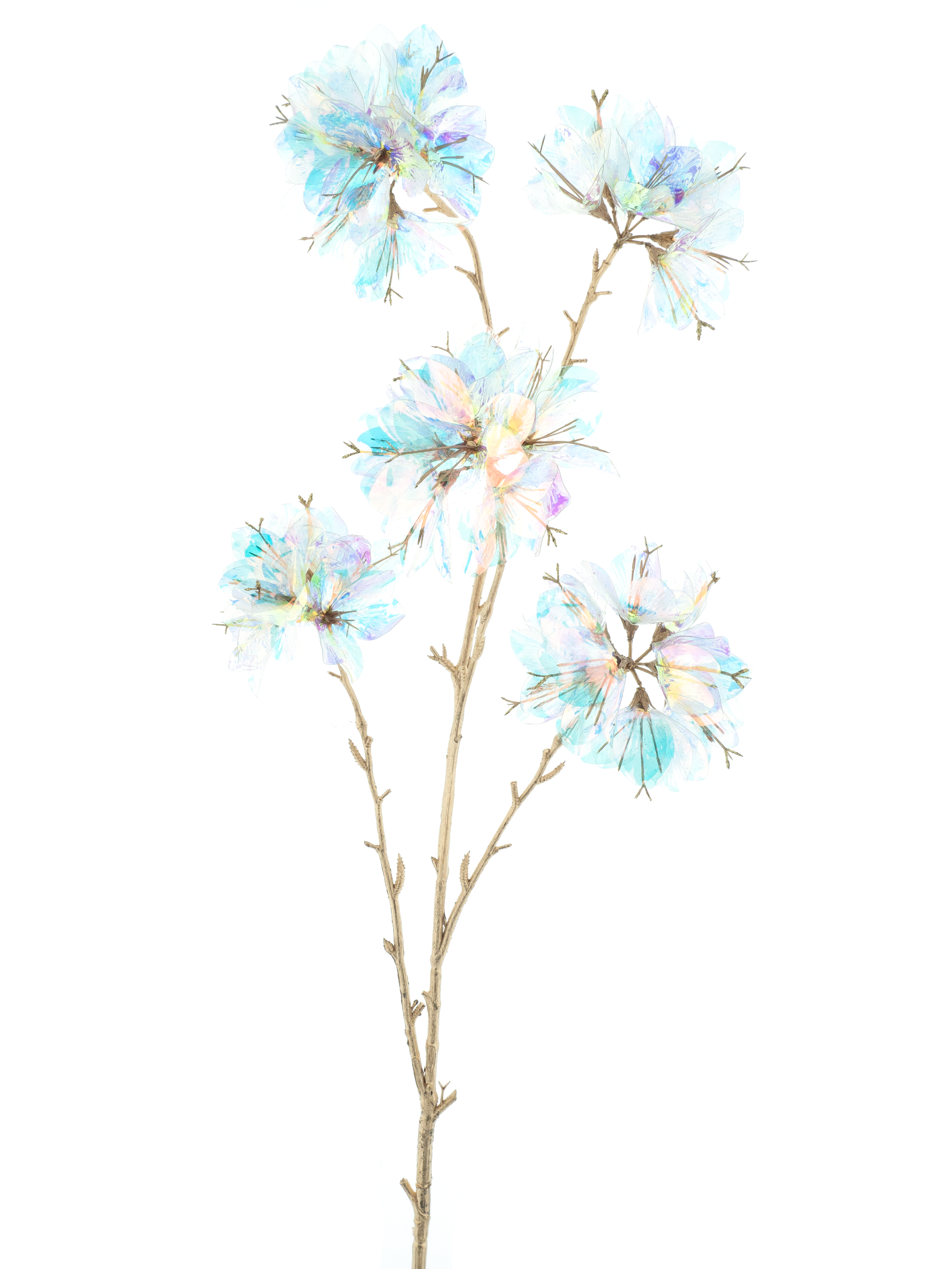 Branche Rhododendron holographique