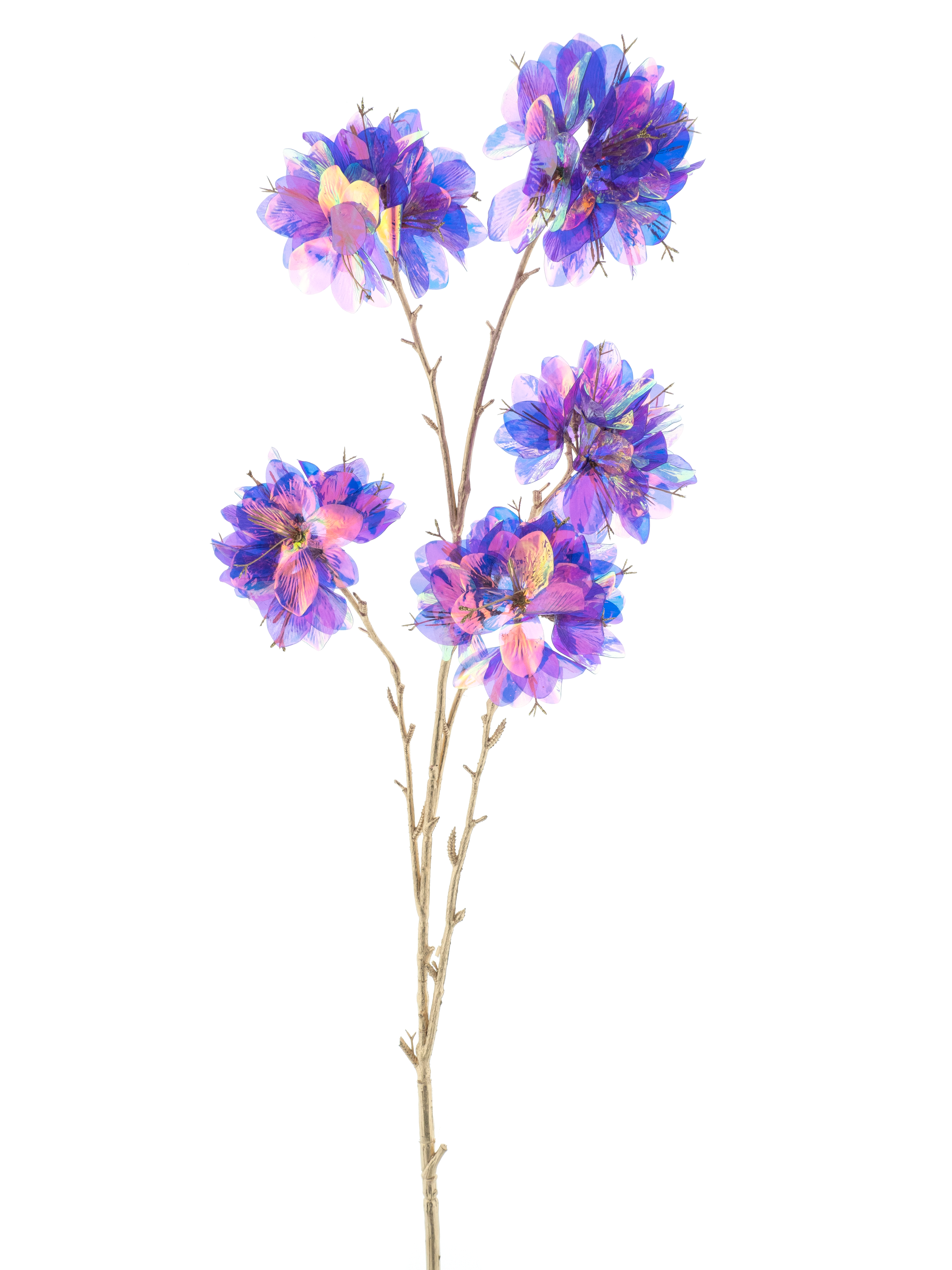 Branche Rhododendron holographique